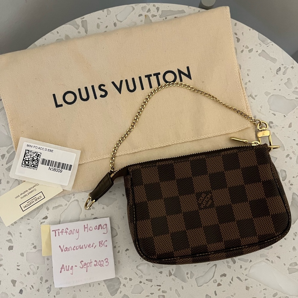 Louis Vuitton Damier Ebene mini pochette